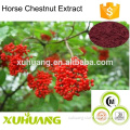 Best price of natural and top quality Anthocyanidins Elderberry Extract/Elderberry Extract Powder